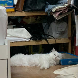 례진님이 올린 리뷰 사진 3