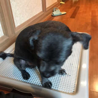 박코끼리님이 올린 리뷰 사진 2