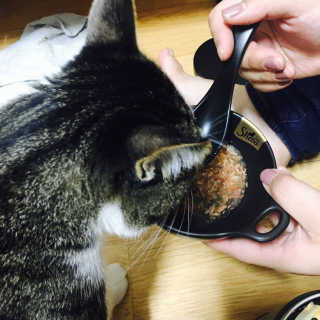 윤한솔님이 올린 리뷰 사진 2