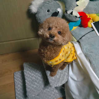 탱스님이 올린 리뷰 사진 1