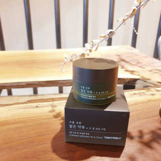 토니모리 프롬 강화 맑은 약쑥 두 겹 진정 크림 — 4점을 준 리뷰어가 2019년 9월 올린 사용 사진