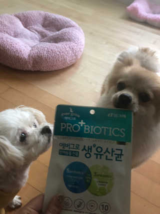 [빙그레] 에버그로 생유산균 1봉（10포입）+펫밀크2팩 — 5점을 준 리뷰어가 2019년 5월 올린 사용 사진