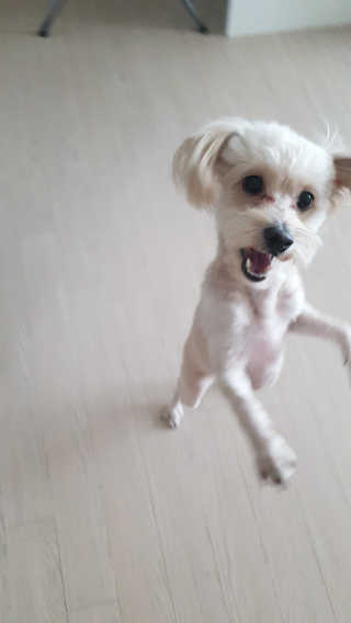 Raphaelchoe님이 올린 리뷰 사진 4