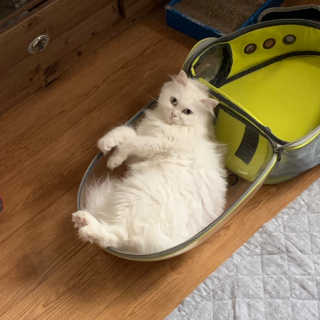 례진님이 올린 리뷰 사진 3