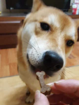 컴백08리터님이 올린 리뷰 사진 2