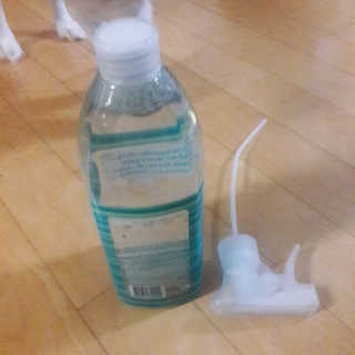 ggg님이 올린 리뷰 사진 1