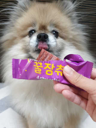 레고사줘님이 올린 리뷰 사진 1
