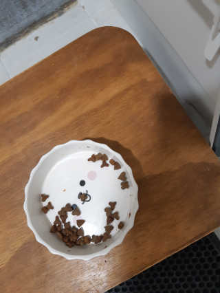 그린펫푸드 인섹트캣 글루텐프리（1.2KG） — 4.5점을 준 리뷰어가 2019년 8월 올린 사용 사진