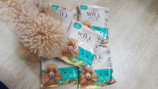 김다정님이 올린 리뷰 사진 3