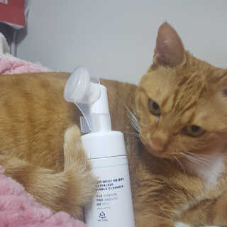 박태은님이 올린 리뷰 사진 2