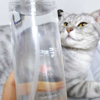 [펫토리아]살균뚝딱 강아지 고양이 살균소독제 탈취제 — 4점을 준 리뷰어가 2019년 10월 올린 사용 사진