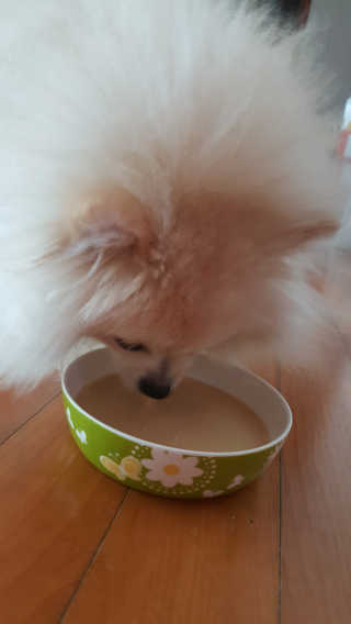 당니님이 올린 리뷰 사진 3