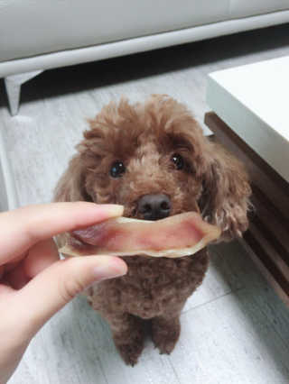이종연님이 올린 리뷰 사진 2