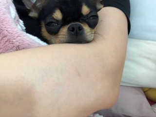카야니탁님이 올린 리뷰 사진 2