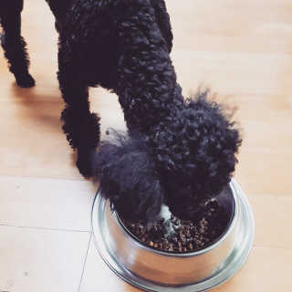 거져줄께잘사가님이 올린 리뷰 사진 1