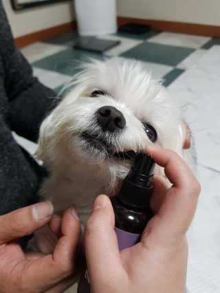 찡님이 올린 리뷰 사진 4