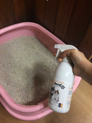 믿음이님이 올린 리뷰 사진 3
