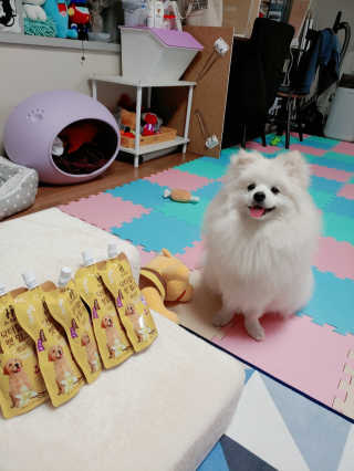닥터할리펫밀크 8종 — 5점을 준 리뷰어가 2019년 5월 올린 사용 사진