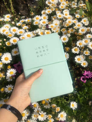 리훈 [날짜형7~12월]2019이야기다이어리 데일리 볼펜셋트 — 5점을 준 리뷰어가 2019년 5월 올린 사용 사진