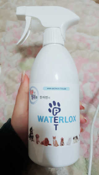 신예지님이 올린 리뷰 사진 1