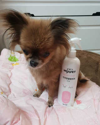 미자펫 반려동물탈취제 500ml — 5점을 준 리뷰어가 2018년 8월 올린 사용 사진
