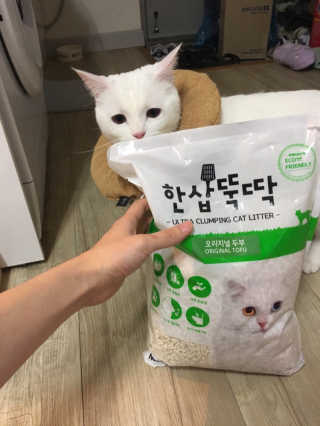[펫토리아] BEST 고양이두부모래 6L 한삽뚝딱 — 5점을 준 리뷰어가 2019년 1월 올린 사용 사진