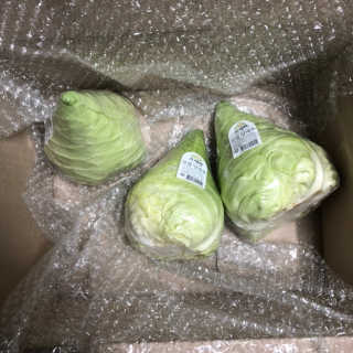 [프레베] 꼬깔양배추 3통 1.8kg 이상 — 5점을 준 리뷰어가 2018년 12월 올린 사용 사진