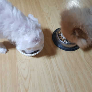미디ㅣ지님이 올린 리뷰 사진 4