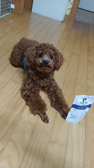 너구리양님이 올린 리뷰 사진 3