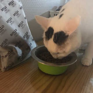 JeongsooJanLee님이 올린 리뷰 사진 3