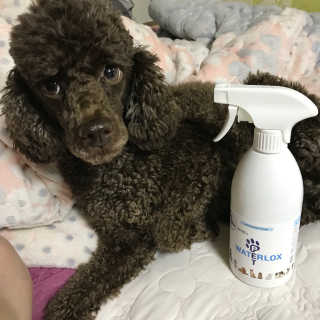 kimy님이 올린 리뷰 사진 2
