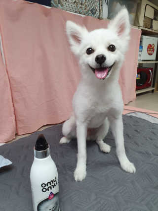 포비탄님이 올린 리뷰 사진 1