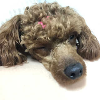 칸쵸님이 올린 리뷰 사진 2
