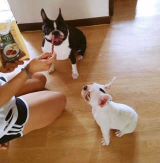 구혜진님이 올린 리뷰 사진 2