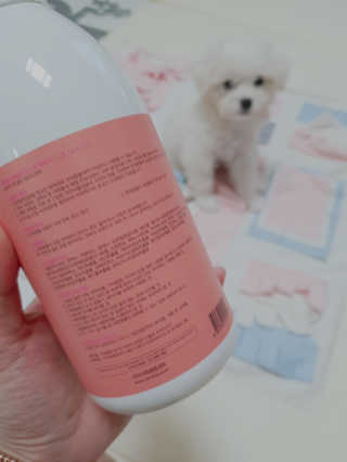 에스힐드님이 올린 리뷰 사진 2