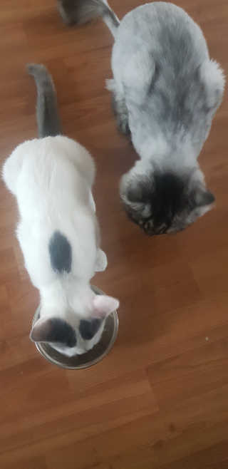 혀니쿵이짝이맘님이 올린 리뷰 사진 3