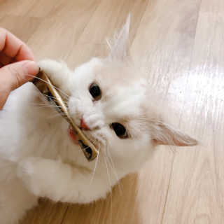 공실이님이 올린 리뷰 사진 4