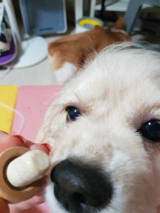 조소민님이 올린 리뷰 사진 3