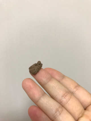 지우정님이 올린 리뷰 사진 3