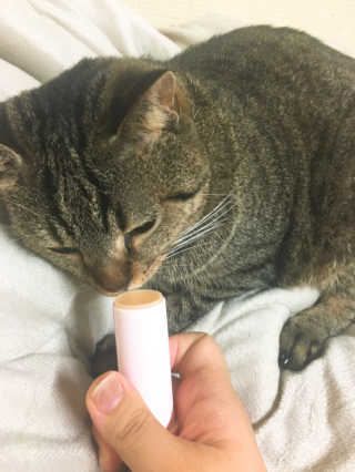 나강나강님이 올린 리뷰 사진 3