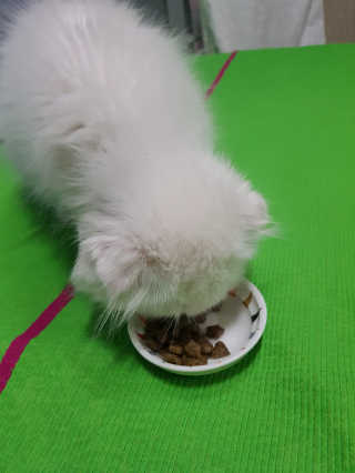 seri님이 올린 리뷰 사진 2