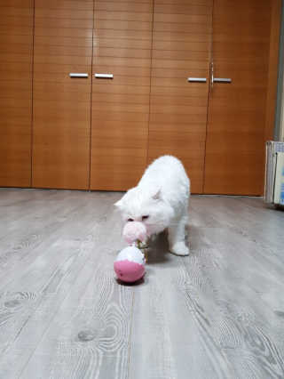 boggybok님이 올린 리뷰 사진 3