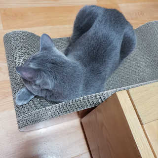 미애님이 올린 리뷰 사진 2