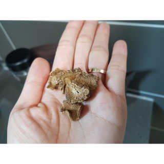 우쭈쭈님이 올린 리뷰 사진 2