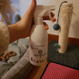 밍삐님이 올린 리뷰 사진 2