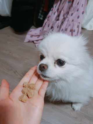 쟈스민님이 올린 리뷰 사진 2
