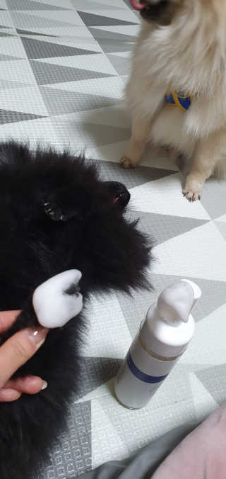 라미님이 올린 리뷰 사진 3