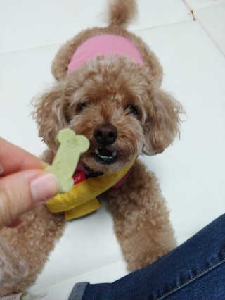 mizong님이 올린 리뷰 사진 3