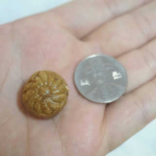 오나오나님이 올린 리뷰 사진 3