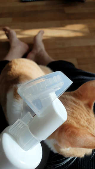 투마하뚜님이 올린 리뷰 사진 3
